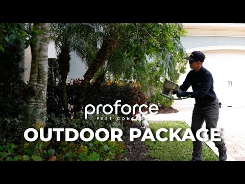 ProForce Pest Control - Outdoor Pest Control Program
