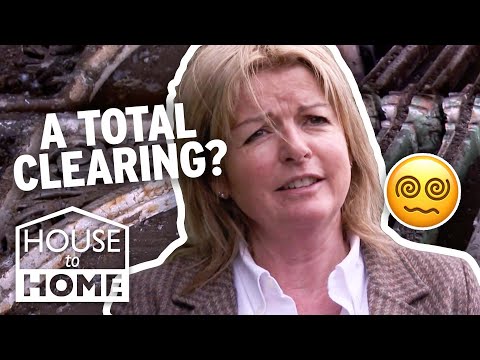A Mammoth Purchase That CLEARS A Shop's Inventory! 💸 | Salvage Hunters | House to Home