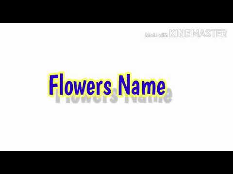 List of flowers names