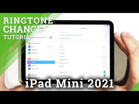 How to Set Custom Ringtone on iPad mini 2021 - Personalize Incoming Call Tune