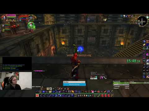 Classic WoW - Hunter Solo Scholomance