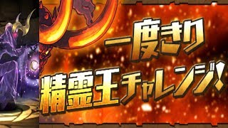 [단 한번의 정령왕 챌린지 5] 발키리 -CIEL- pt.