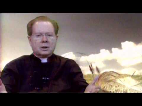 O Pão Nosso  1º Setembro 2016   -   Pe. F. C. Cardoso