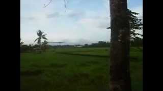 preview picture of video 'AirPhilExpress 2P-091 Landing in Calbayog Airport'