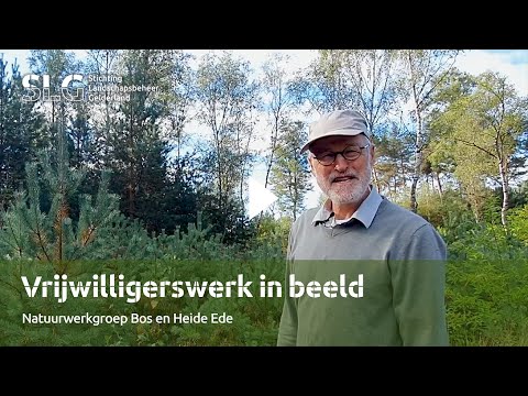Vrijwilligerswerk in beeld: Natuurwerkgroep bos en heide Ede