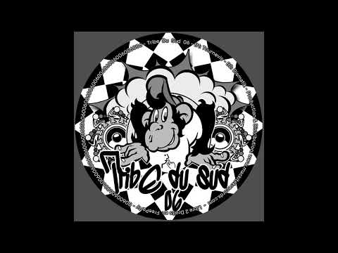 Tribe Du Sud 06 - B2 - Dismatik
