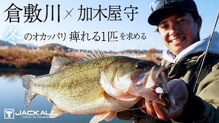 12月冬の倉敷川で痺れる１匹を追い求める２日間/加木屋守