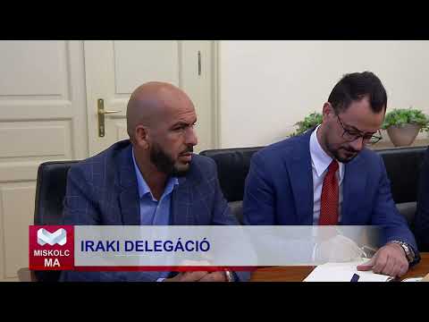 Videó előnézet