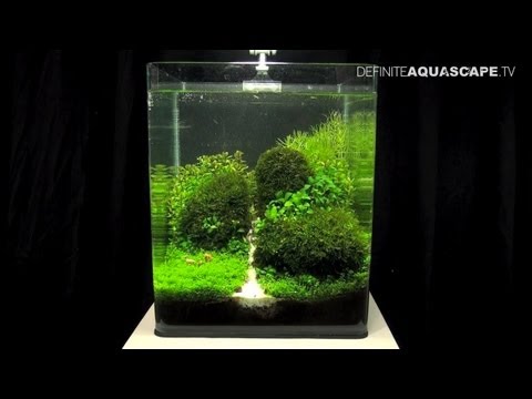 Aquascaping - The Art of the Planted Aquarium 2013 Nano pt.1