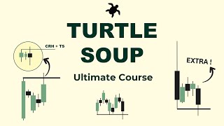 Turtle Soup Secrets All in 1 Video