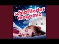 Das Licht ist aus (Megamix Cut) (Mixed)