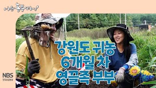 [나는농부다 265회] 강원도 귀농 6개월 차 영끌족 부부