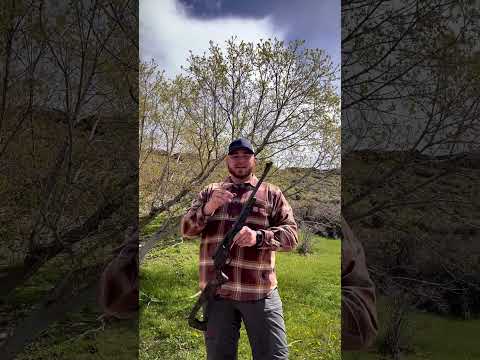 Excellent Terminal Performance