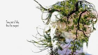 Bibio - Old Graffiti - Lyrics &amp; Türkçe Çeviri