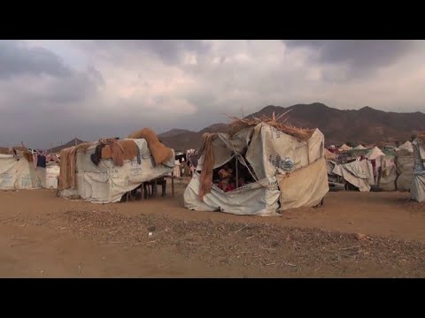 Tales of displaced Yemenis: two camps, same tragedy