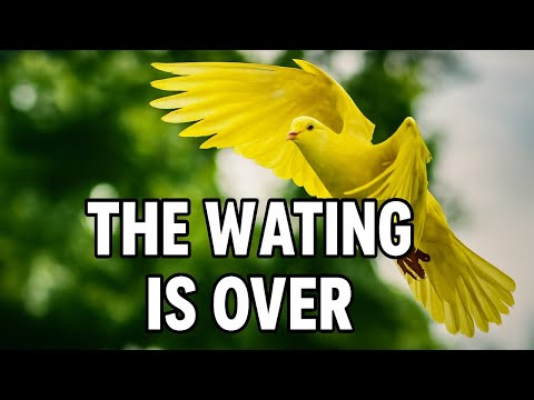 LORD, THE WAITING IS OVER