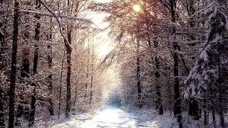 Winter Lullaby