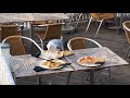 Seagull Eating Pizza