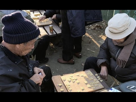Sunset Cycling in Setagaya, Tokyo