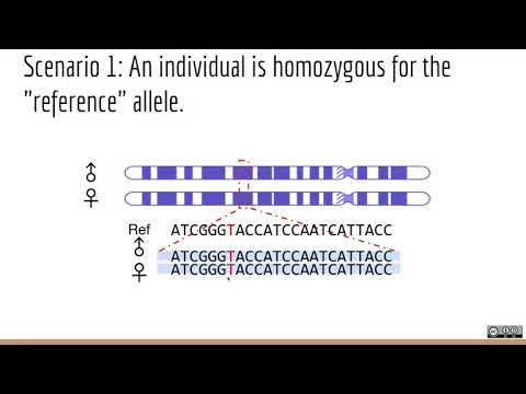 Applied Computational Genomics - 07 - Detecting Genetic Variation Part 1.