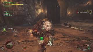 モンスターハンターワイルズ