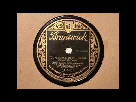 You're burnin' me up - The Wolverines (Tennessee Tooters, Louis Katzman) - Brunswick 3332