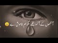 Ankhon Ke Anson They Sad Poetry Status Shero Shayari In Urdu Hindi 2022
