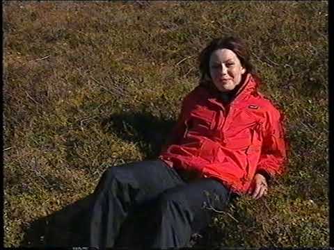 Suuri Seikkailu 2002 Posio - 1. päivä LIVE