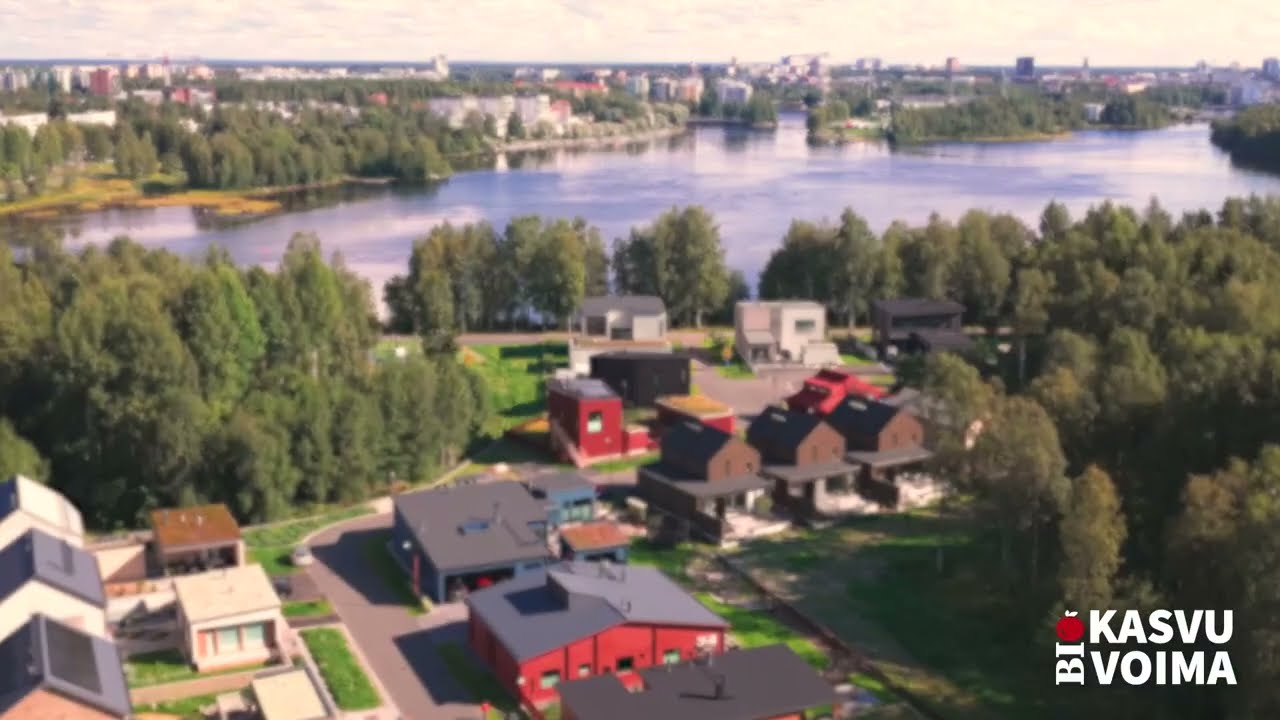 Biokasvuvoiman kasvualustat valmiissa pihassa vuosi pihan perustamisen jälkeen