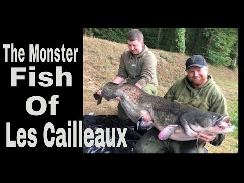 Venue videos photo 1