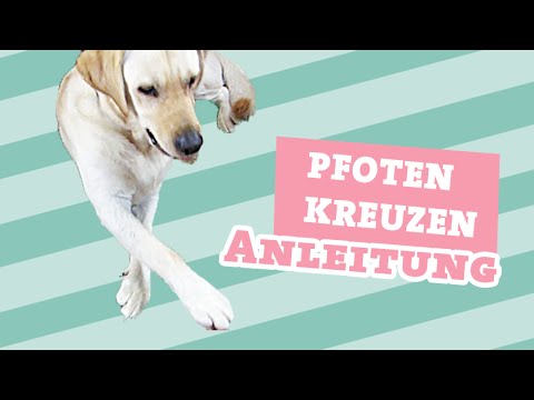Wie ein wundes Bein mit Arthrose des Hüftgelenks Klicken Sie auf das Kniegelenk