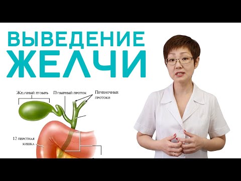 Выведение желчи | Доктор Ирина Мироновна