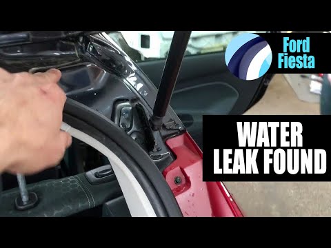 Ford Fiesta 2009 | Water Leak Found | #FiestaWaterLeaks