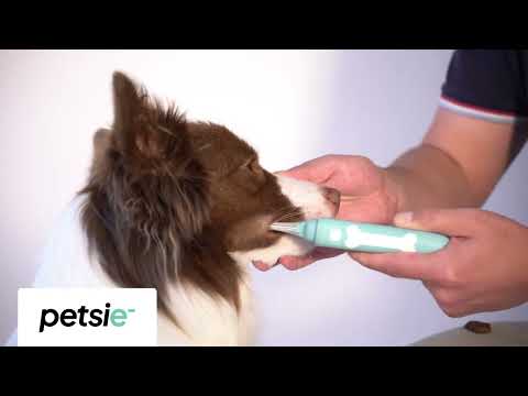 Petsie - smart toothbrush