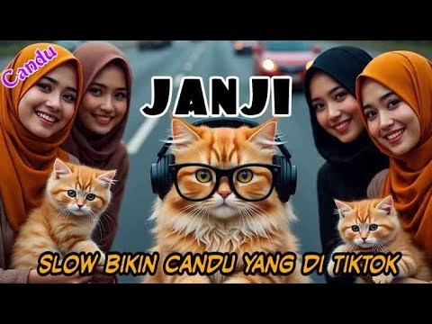 DJ JANJI SLOW CANDU ON TIKTOK BY YANZ TUBE