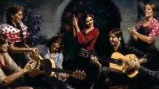 Andrew W  K    The End Of Our Lives