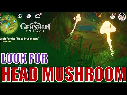 Look for the Head Mushroom | Genshin Impact