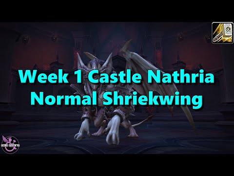 Shadowlands Week 1 Normal Shriekwing - Retribution Paladin POV