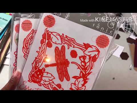 Tuesday Morning, Tonic, HSN, Pat Catan’s