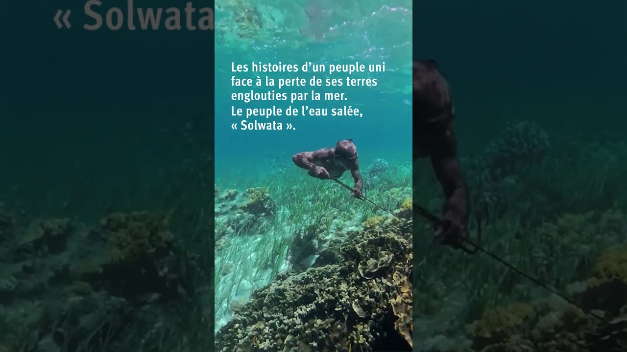 Solwata : Commentaire de Mark Ruffalo