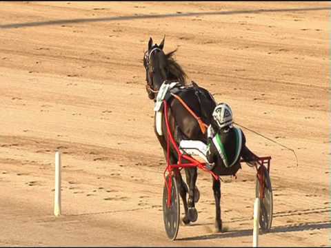 TROTTO 01/05/2016 - 9° CORSA FINALE  67° GP. LOTTERIA