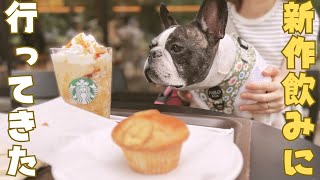 スタバ飲んで誤魔化そうとする妻🤣笑