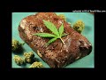 Hawkwind - Hash Cake ´77