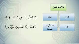 شرح نظم الآجرومية مع التشجير //11//الشيخ محمد محمود الشنقيطي image