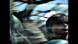 BRETT ANDERSON - WITH YOU, WITHIN YOU