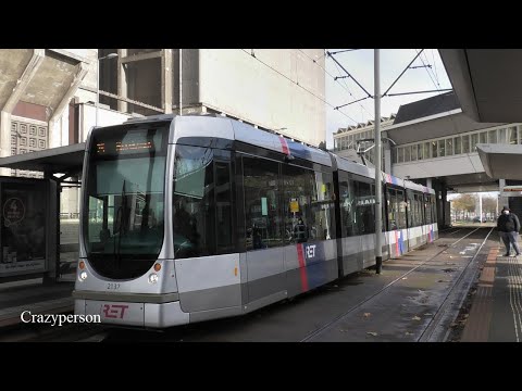 Tramrit Maashaven - Carnisselande Rotterdam in de Herfst