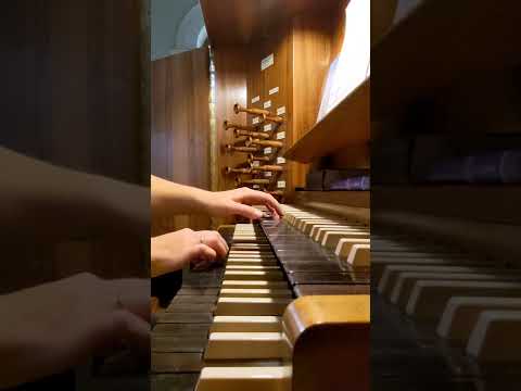 In dir ist Freude EG 398