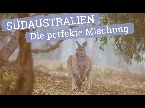 Australien - South Australia - Reisen Reisen - Der Podcast mit Jochen Schliemann und Michael Dietz