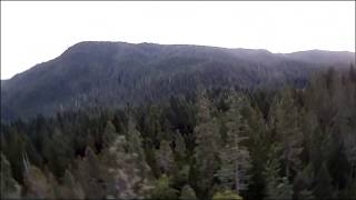 Gasquet CA From Drone