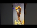 Female seahorse transferring her eggs to the male. #seahorses #beauty #nature #aqualush
